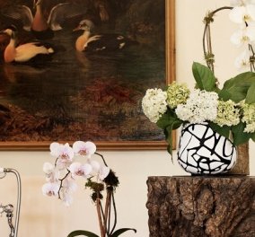 Το H&M & η Diane von Furstenberg μεταμορφώνουν το σπίτι μας: Ριχτάρια, διακοσμητικά και η ρόμπα με το διάσημο εμπριμέ μοτίβο (φωτό & βίντεο)
