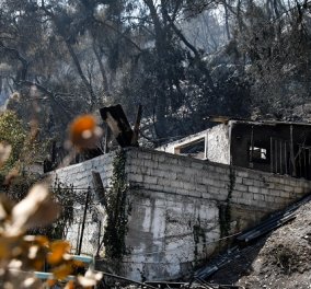 Φωτιά στα Γεράνεια Όρη - Πέτσας: Οικονομική στήριξη των πληγέντων με 600 ευρώ - μέχρι 6.000 ευρώ για οικοσκευές (βίντεο)
