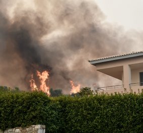Εικόνες που φέρνουν δάκρυα στα μάτια από την ανεξέλεγκτη φωτιά στην Αττική - Εκκενώθηκαν Ροδόπολη & Σταμάτα - Πυρκαγιά στο Σούνιο (φώτο) 
