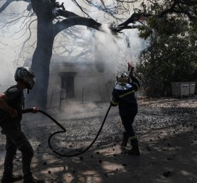 Πυρκαγιά στο Κρυονέρι: Δίωξη για εμπρησμό σε βάρος 43χρονου - δίωξη και για την φωτιά στο Πεδίον του Άρεως (βίντεο)