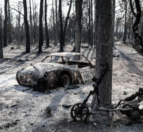 Φωτιά στη Βαρυμπόμπη - Συνταρακτικές εικόνες που κόβουν την ανάσα για την καταστροφή στον πνεύμονα της Αττικής (φωτό - βίντεο)