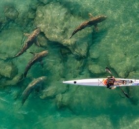 Drone Photo Awards 2021: Φανταστικές λήψεις από ψηλά - οι πιο εντυπωσιακές φωτογραφίες του διαγωνισμού