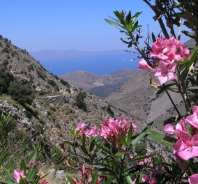 Good news: Στην Κρήτη σε φαράγγι 3χλμ δημιουργήθηκε το πρώτο βοτανικό μονοπάτι - Σε 48 πινακίδες τα 80 βότανα & λουλούδια που θεραπεύουν (φωτό) 