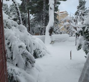 Κακοκαιρία Μπάρμπαρα: Αποκλειστικές φωτογραφίες του Eirinika με το χιονισμένο τοπίο στα βόρεια προάστια