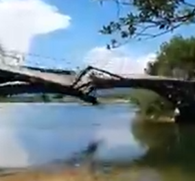 Άρτα: Δείτε βίντεο με ξύλινη γέφυρα σε πάρκο να καταρρέει  - Ευτυχώς ήταν κλειστή, τι υποστηρίζει ο δήμος
