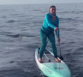 Δείτε το βίντεο! Απόλυτα κουλ η γυναίκα που κάνεις sup, με τον καρχαρία 500 κιλών να την... ''φλερτάρει''