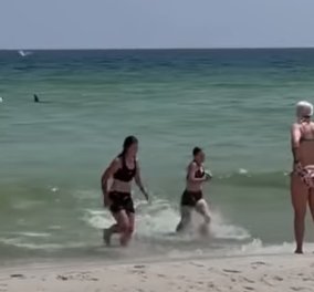 Δείτε το βίντεο! Κολυμβήτριες τρέχουν σαν τρελές στην παραλία καθώς ο καρχαρίας έχει φτάσει στην ακτή!