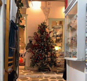 Το βίντεο της ημέρας: Στην Μύκονο στόλισαν ήδη Χριστουγεννιάτικα δέντρα - Οι τουρίστες απόρησαν !   