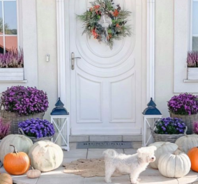 #Pumpkin: Διακοσμήστε το σπίτι σας με κολοκύθες - Η απόλυτη τάση για το Φθινόπωρο (φωτό)