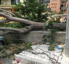 Επιδείνωση του καιρού: Έκτακτο δελτίο από την ΕΜΥ - Καταστροφές από την "Θάλεια" σε Β. Ελλάδα & Κέρκυρα (φωτό - βίντεο) 
