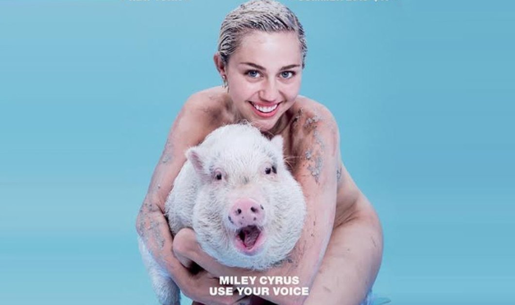 Όχι 3... αλλά ένα γουρουνάκι - Η Miley Cyrus φωτογραφίζεται για καλό σκοπό - Κυρίως Φωτογραφία - Gallery - Video