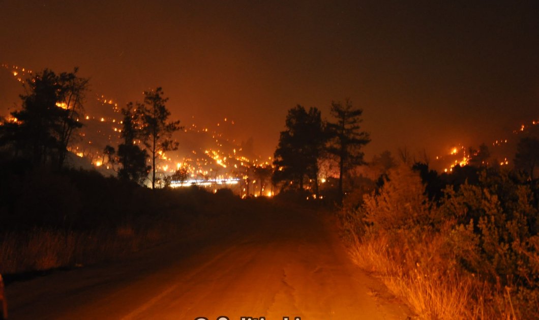 Ολονύχτια μάχη με τις φλόγες στην Χίο: Καταστράφηκαν χιλιάδες στρέμματα μαστιχόδεντρων  - Κυρίως Φωτογραφία - Gallery - Video
