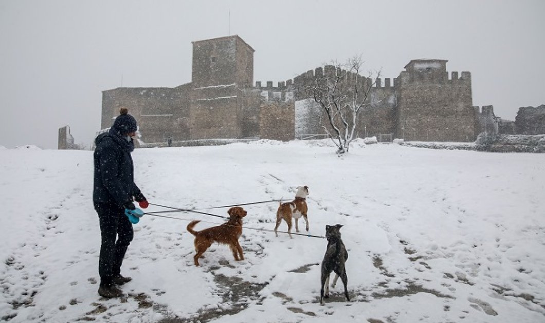 Καρέ καρέ τα χιόνια σε Θεσσαλονίκη, Διόνυσο, Φθιώτιδα - 100 φωτογραφίες με το πανέμορφο λευκό του ξαφνικού χειμώνα - Επιτέλους! (φωτό & βίντεο) - Κυρίως Φωτογραφία - Gallery - Video