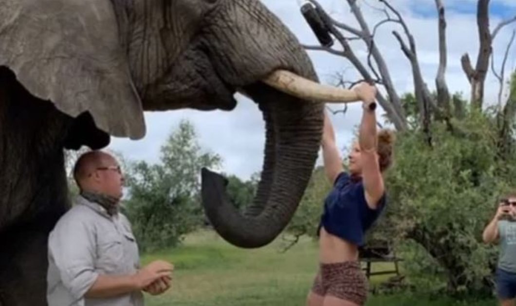 Εσείς έλξεις σε χαυλιόδοντες ελέφαντα έχετε κάνει; Η Emma το τόλμησε και ξεσήκωσε σάλο διαμαρτυριών - Κυρίως Φωτογραφία - Gallery - Video