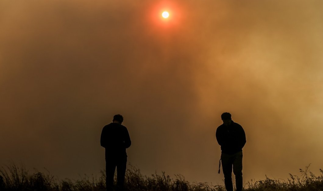 Χαρδαλιάς:  Μάχη με τις φλόγες στο Σχίνο - 20 χιλιάδες στρέμματα δάσους στάχτη για να καούν κλαδιά σε ελαιώνα -  Σε κατάσταση έκτακτης ανάγκης τα Μέγαρα  (φώτο) - Κυρίως Φωτογραφία - Gallery - Video