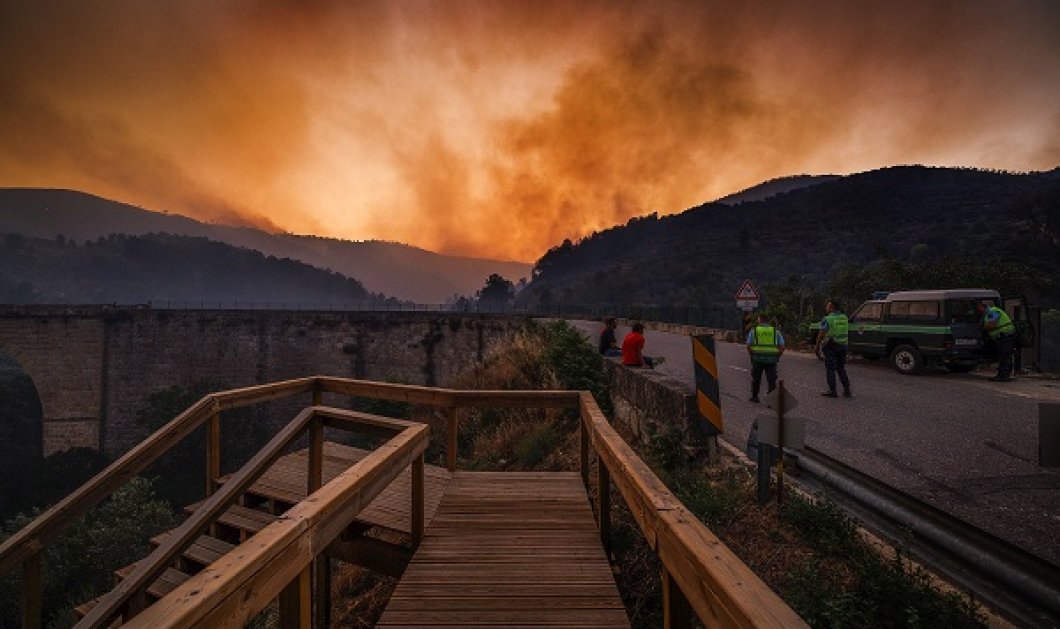 WWF: «Η Μεσόγειος φλέγεται!» - Μεγάλες πυρκαγιές σε Γαλλία, Ισπανία, Πορτογαλία - ο χάρτης με τα πύρινα μέτωπα - Κυρίως Φωτογραφία - Gallery - Video