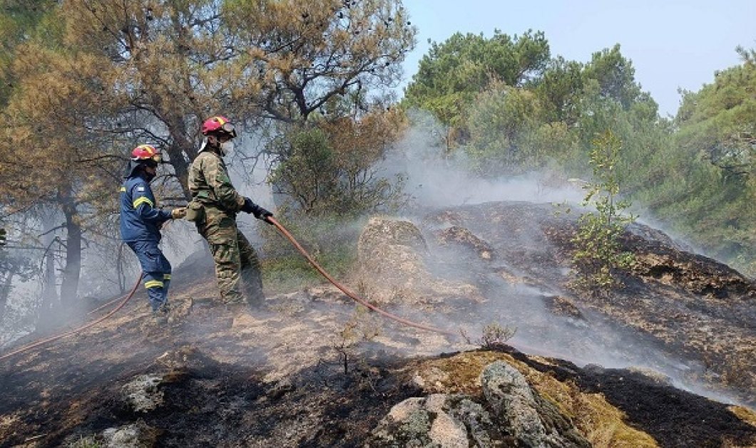 Φωτιά στη Δαδιά Έβρου: Σκληρή μάχη με τις φλόγες για να σωθεί το δάσος - Πυρκαγιά και στην Λέσβο (βίντεο) - Κυρίως Φωτογραφία - Gallery - Video