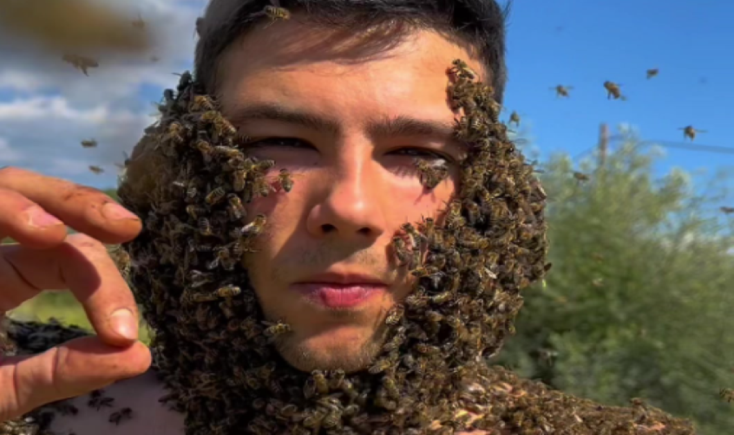 Δείτε βίντεο: Ο μελισσοκόμος Χάρης Σταμάτης μπορεί να έχει χιλιάδες μέλισσες στο κεφάλι του χωρίς πρόβλημα - Κυρίως Φωτογραφία - Gallery - Video